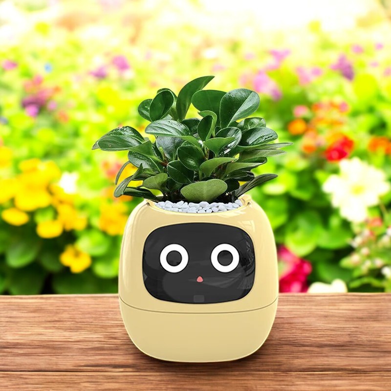 SmartPot®