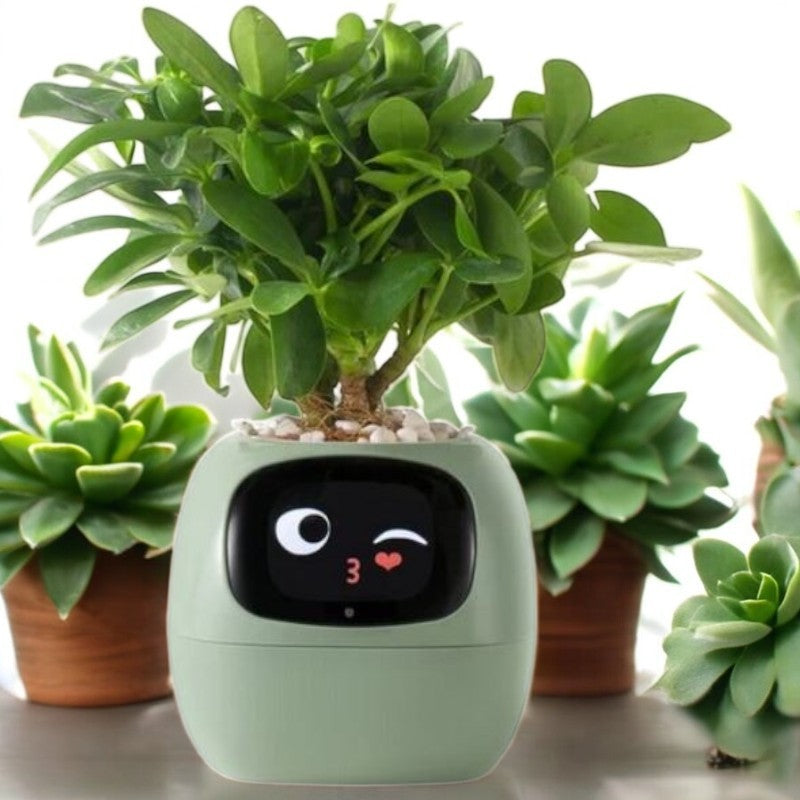 SmartPot®