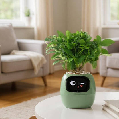 SmartPot®