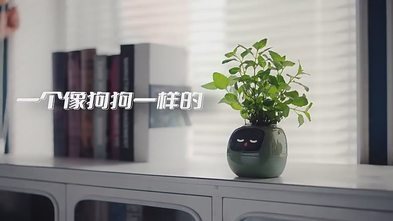 Load video: 